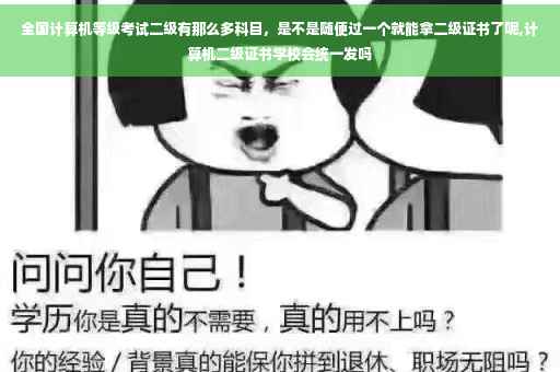 全国计算机等级考试二级有那么多科目，是不是随便过一个就能拿二级证书了呢,计算机二级证书学校会统一发吗