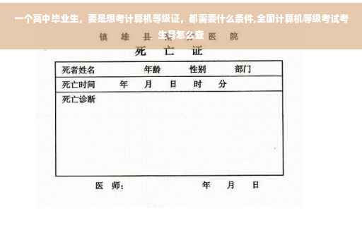 一个高中毕业生，要是想考计算机等级证，都需要什么条件,全国计算机等级考试考生号怎么查