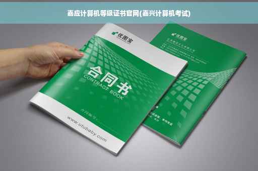 嘉应计算机等级证书官网(嘉兴计算机考试)