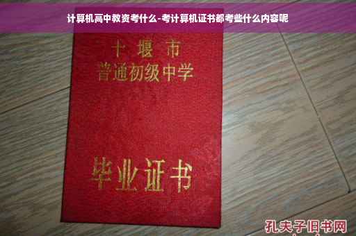 计算机高中教资考什么-考计算机证书都考些什么内容呢