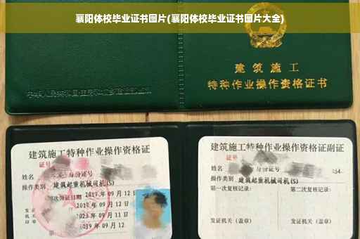 襄阳体校毕业证书图片(襄阳体校毕业证书图片大全)