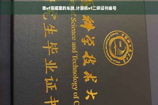 鲁vf是哪里的车牌,计算机vf二级证书编号