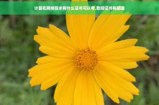 计算机网络技术有什么证书可以考,数控证书有那些