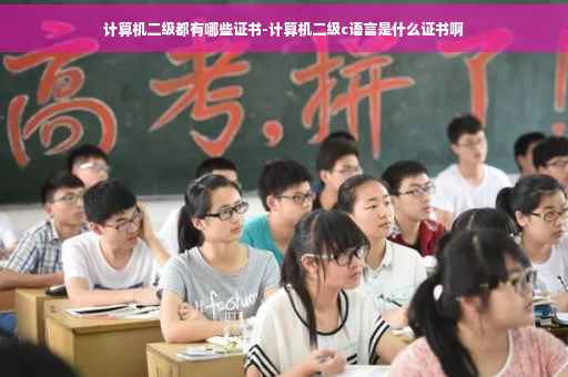 计算机二级都有哪些证书-计算机二级c语言是什么证书啊