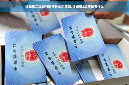 计算机二级证书都考什么内容啊,计算机2级考试考什么