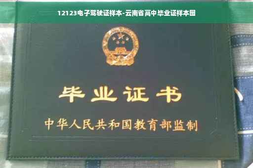 12123电子驾驶证样本-云南省高中毕业证样本图