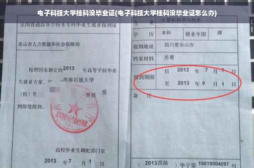 电子科技大学挂科没毕业证(电子科技大学挂科没毕业证怎么办)