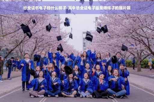 毕业证书电子档什么样子-高中毕业证电子版是啥样子的图片啊