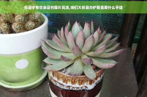 祁县中专毕业证书图片高清,咱们大祁县办护照需要什么手续