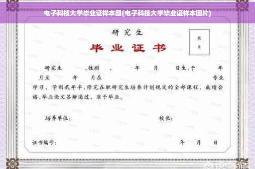 电子科技大学毕业证样本图(电子科技大学毕业证样本图片)