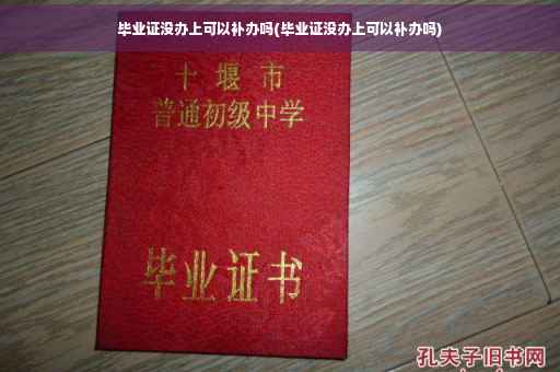 毕业证没办上可以补办吗(毕业证没办上可以补办吗)