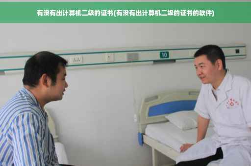 有没有出计算机二级的证书(有没有出计算机二级的证书的软件)
