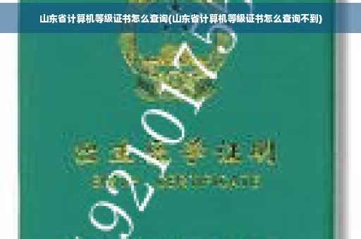 山东省计算机等级证书怎么查询(山东省计算机等级证书怎么查询不到)