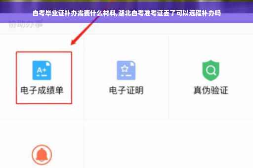自考毕业证补办需要什么材料,湖北自考准考证丢了可以远程补办吗