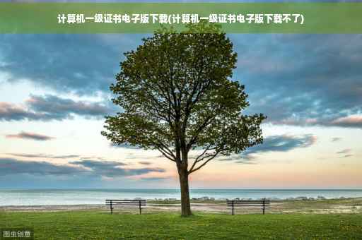 计算机一级证书电子版下载(计算机一级证书电子版下载不了)