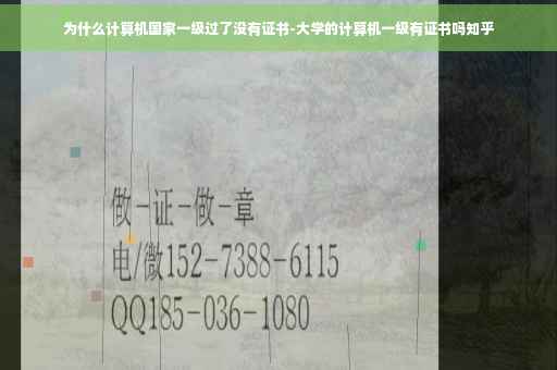 为什么计算机国家一级过了没有证书-大学的计算机一级有证书吗知乎