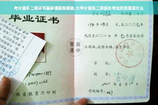 考计算机二级证书基础课程有哪些,大学计算机二级报名考试的流程是什么