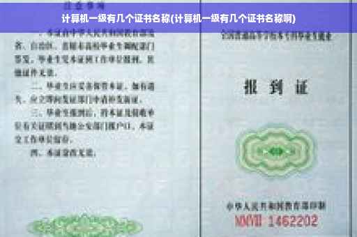计算机一级有几个证书名称(计算机一级有几个证书名称啊)