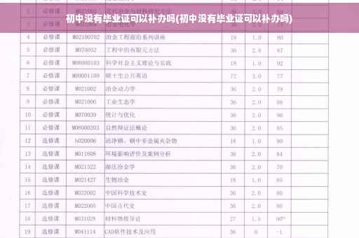 初中没有毕业证可以补办吗(初中没有毕业证可以补办吗)