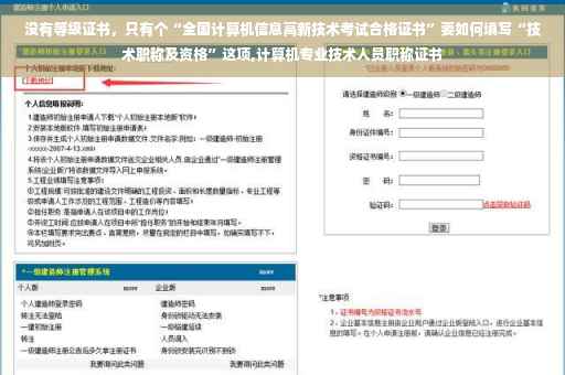 没有等级证书，只有个“全国计算机信息高新技术考试合格证书”要如何填写“技术职称及资格”这项,计算机专业技术人员职称证书