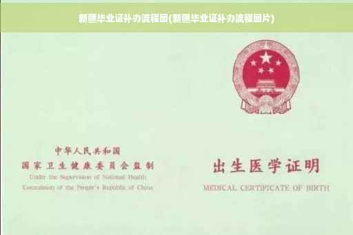 新疆毕业证补办流程图(新疆毕业证补办流程图片)