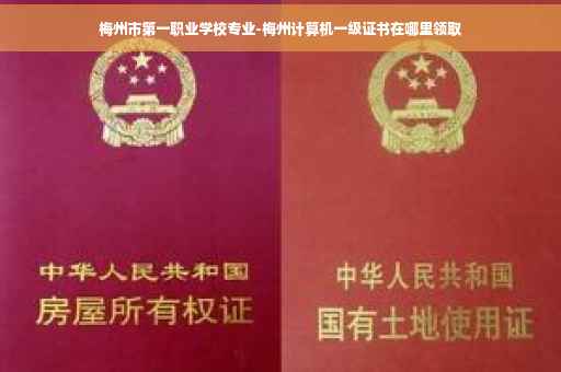 梅州市第一职业学校专业-梅州计算机一级证书在哪里领取 梅州市第一职业学校专业-梅州计算机一级证书在哪里领取