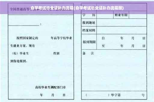 自学考试毕业证补办流程(自学考试毕业证补办流程图)