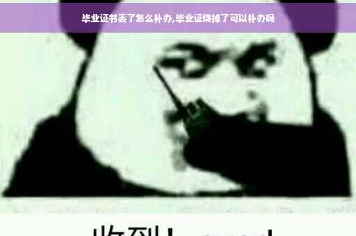 毕业证书丢了怎么补办,毕业证烧掉了可以补办吗