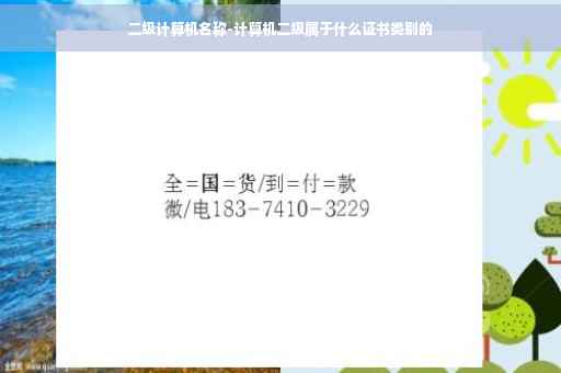 二级计算机名称-计算机二级属于什么证书类别的