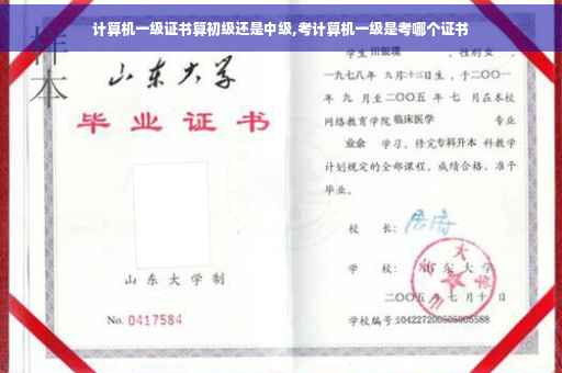 计算机一级证书算初级还是中级,考计算机一级是考哪个证书