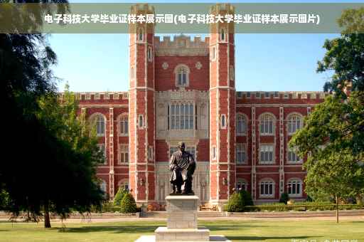 电子科技大学毕业证样本展示图(电子科技大学毕业证样本展示图片)