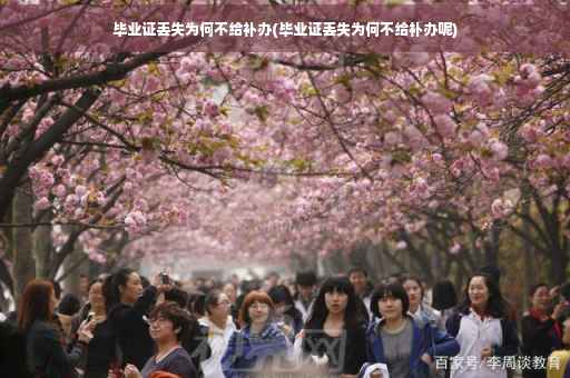 毕业证丢失为何不给补办(毕业证丢失为何不给补办呢)