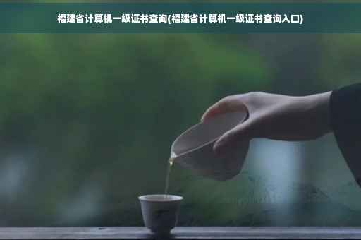 福建省计算机一级证书查询(福建省计算机一级证书查询入口)