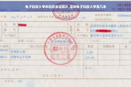 电子科技大学本科毕业证图片,深圳电子科技大学是几本