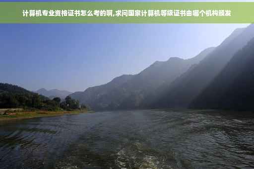 计算机专业资格证书怎么考的啊,求问国家计算机等级证书由哪个机构颁发
