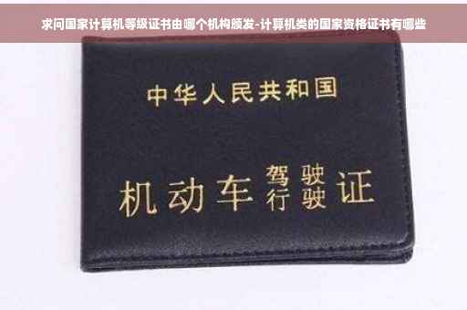 求问国家计算机等级证书由哪个机构颁发-计算机类的国家资格证书有哪些