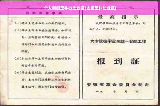 个人到哪里补办毕业证(去哪里补毕业证)