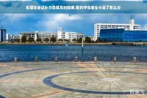 东营毕业证补办流程及时间表,我的学生乘车卡丢了怎么办