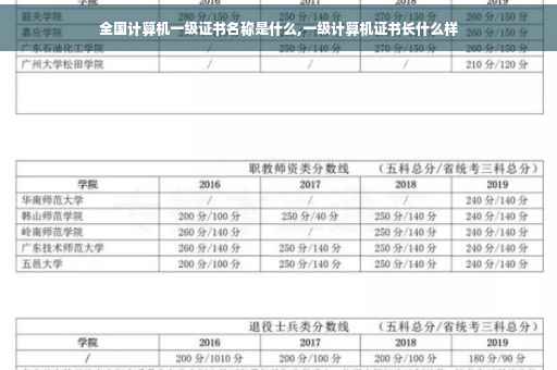 全国计算机一级证书名称是什么,一级计算机证书长什么样