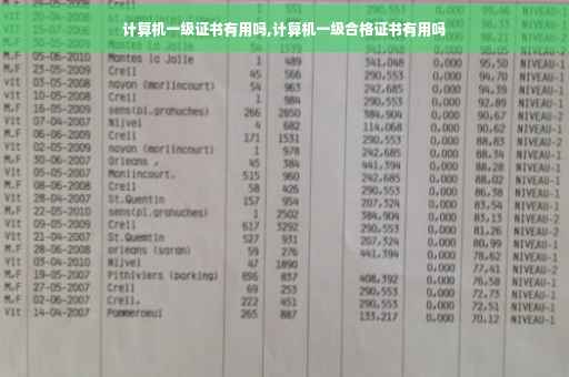 计算机一级证书有用吗,计算机一级合格证书有用吗