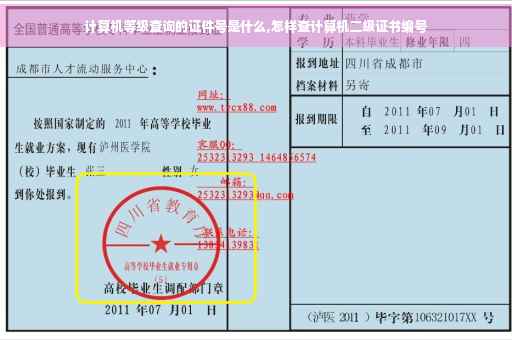 计算机等级查询的证件号是什么,怎样查计算机二级证书编号