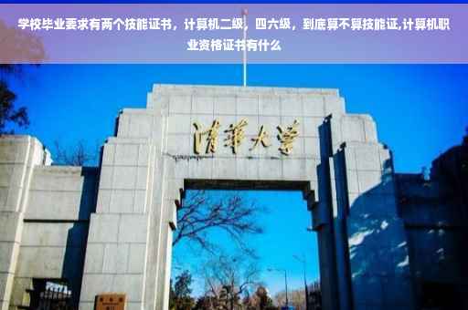 学校毕业要求有两个技能证书，计算机二级，四六级，到底算不算技能证,计算机职业资格证书有什么