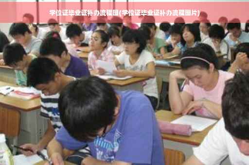 学位证毕业证补办流程图(学位证毕业证补办流程图片)