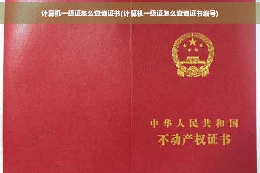 计算机一级证怎么查询证书(计算机一级证怎么查询证书编号)