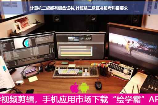 计算机二级都有哪些证书,计算机二级证书报考科目要求