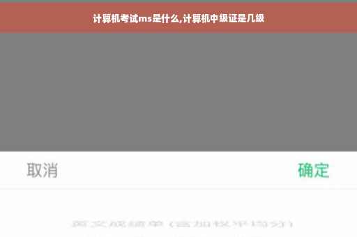 计算机考试ms是什么,计算机中级证是几级