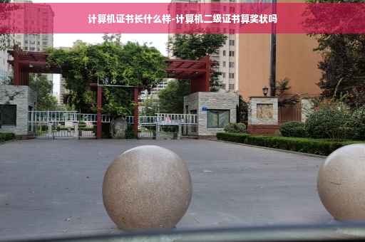 计算机证书长什么样-计算机二级证书算奖状吗
