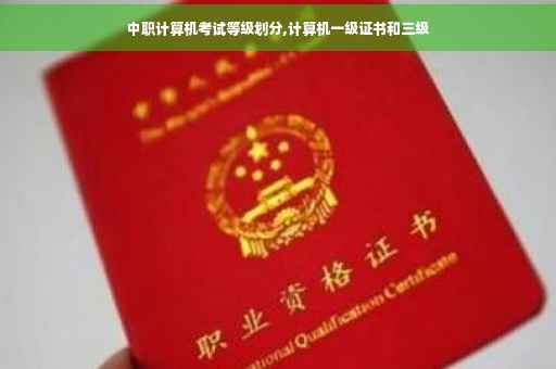 中职计算机考试等级划分,计算机一级证书和三级