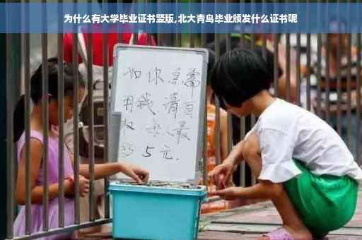为什么有大学毕业证书竖版,北大青鸟毕业颁发什么证书呢