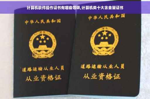 计算机软件操作证书有哪些等级,计算机类十大含金量证书